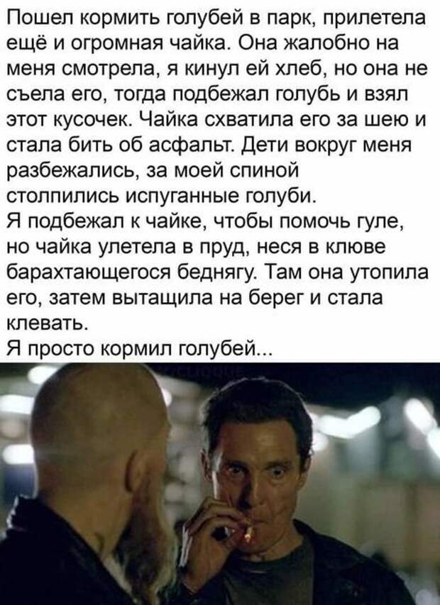Просто кормил голубей...