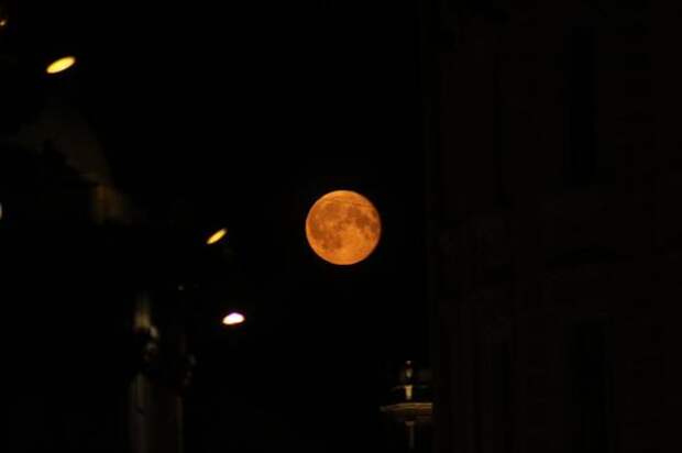 В первые дни марта петербуржцы смогут увидеть «кровавую Луну»