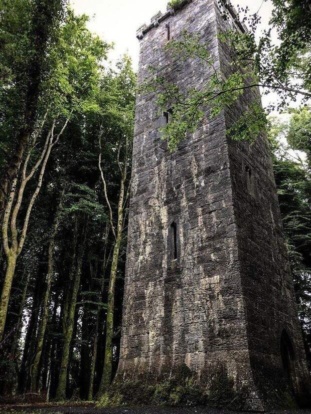 11. «Эта башня, которую мы нашли в ирландском лесу, выглядит как что-то из сказки»