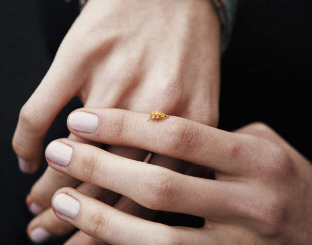 Yellow Ladybug, божья коровка