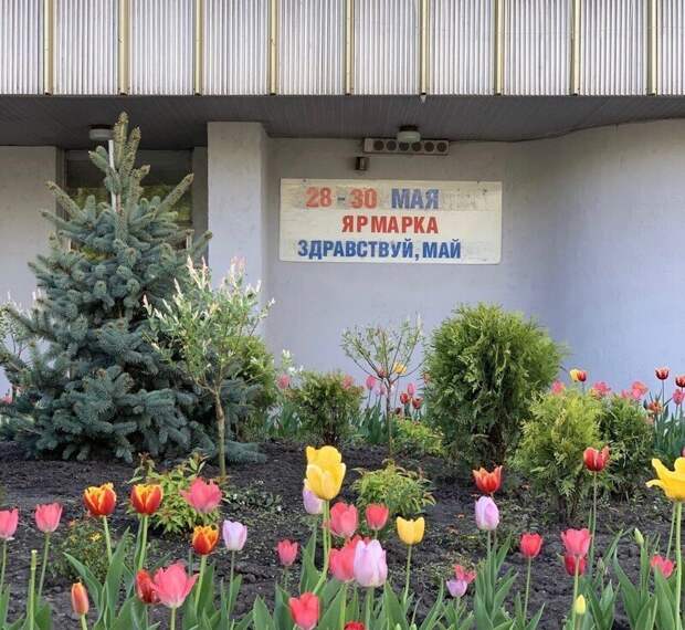 Что-то с реальностью не всё в порядке