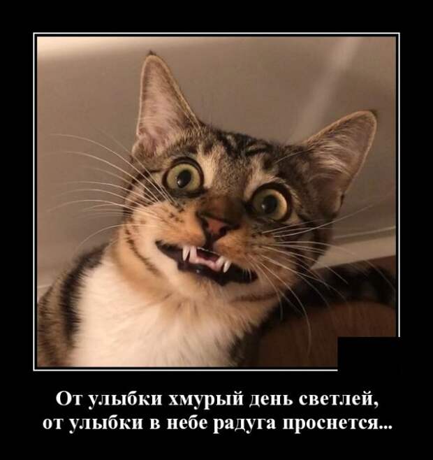 Демотиваторы (20 фото)