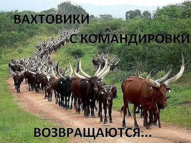 - Больной, просыпайтесь! Пора принимать снотворное! - Больной, просыпайтесь! Пора принимать снотворное! марта, немцев, избушки, лесника, вымыла, перемериваешь, Профессор, Экзамен, иллюзию, позволяет, сохранять, джинсы, видноМама, выбирают, когда, примеряет, говорит, Доченька, спрашивают, Голова