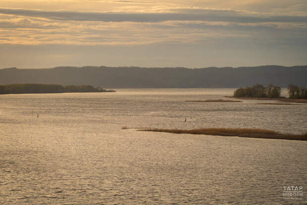 Ученый АН РТ: Прохождение нереста на Волге зависит от баланса интересов регионов