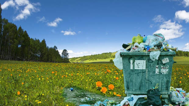 За месяц из парков Симферополя вывезли больше 350 кубометров мусора