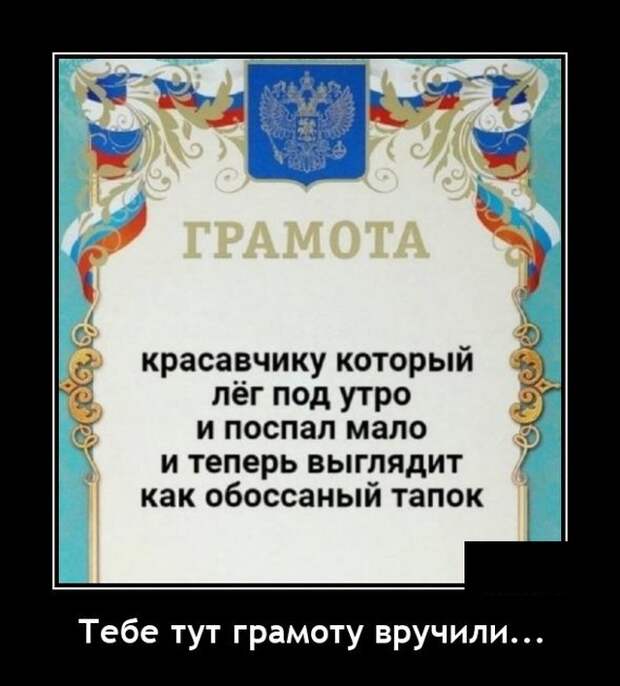Демотиваторы 9 декабря 2021 года