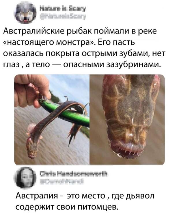 Подборка картинок. Вечерний выпуск (30 фото)