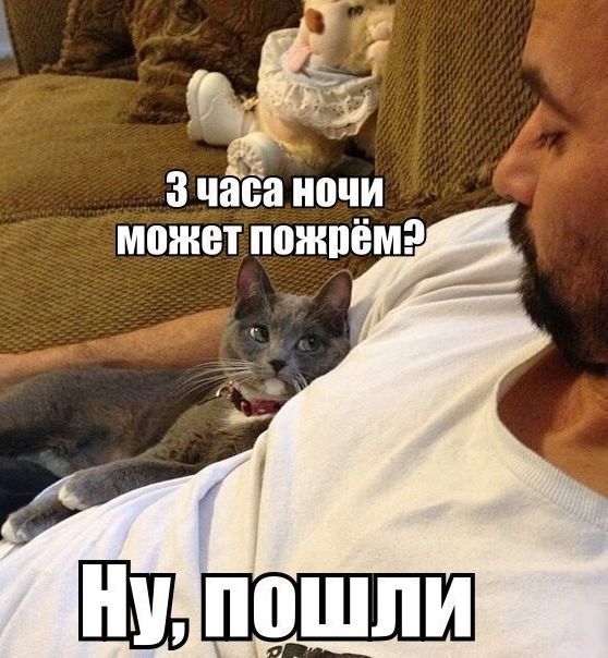 Подборка картинок и фотографий с надписями из нашей жизни (11 фото)