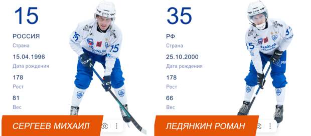 Нижегородцы Михаил Сергеев и Роман Ледянкин стали чемпионами России в бенди