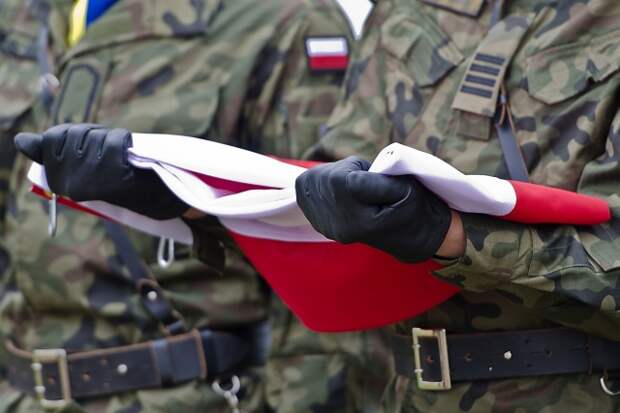Против кого Польша хочет использовать танки из США – России или Украины?