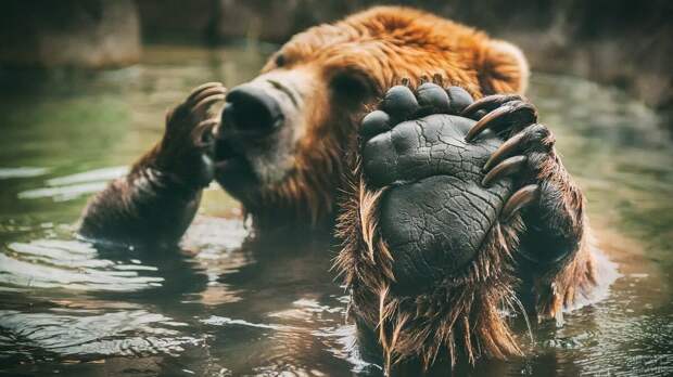 Фото взято из открытого источника Яндекс.Картинки