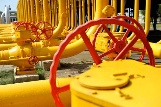 Фото: www.globallookpress.com