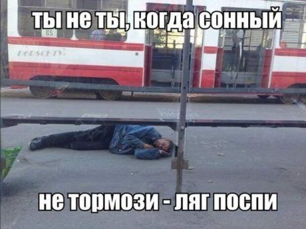 Смешные картинки про сон с надписями (15 фото) Смешные картинки про сон с надписями (15 фото)