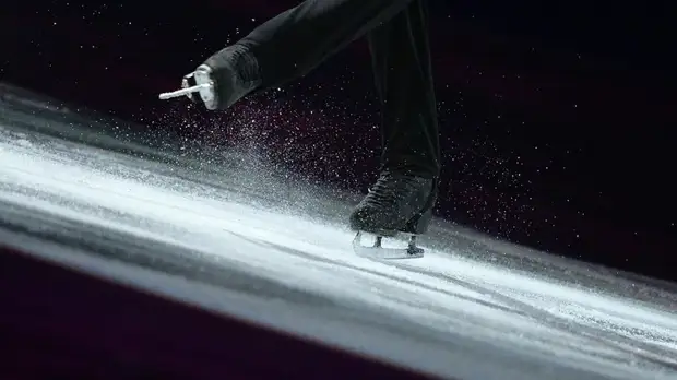 Шеховцова вошла в группу ISU по улучшению качества судейства в фигурном катании