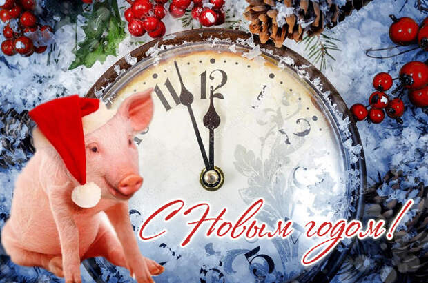 Новые открытки "С Новым 2019 годом свиньи" скачать