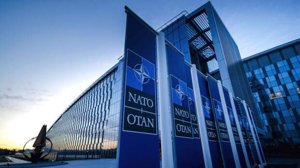 СМИ: четыре нейтральные страны предложили НАТО расширенное сотрудничество