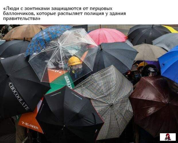 www.vsyako.net