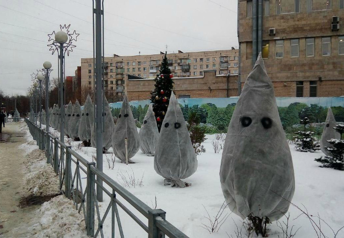 Очаровательные елки. | Фото: Reddit. Очаровательные елки. | Фото: Reddit.