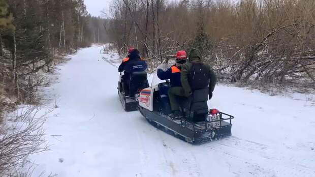 Стало известно, почему спасатели возобновили поиски семьи Усольцевых в апреле