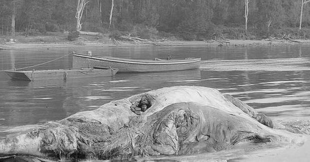 weird-old-medical-treatments-21-5e57b1c38bfaa__700.jpg weird-old-medical-treatments-21-5e57b1c38bfaa__700.jpg
