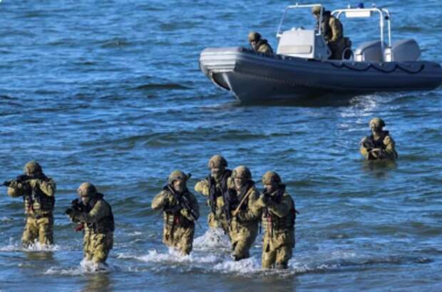 Взлететь смог только «Байрактар». НАТО проводит на Балтике учения без США Взлететь смог только «Байрактар». НАТО проводит на Балтике учения без США