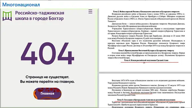 КОГДА ПОДНЯЛОСЬ ВОЗМУЩЕНИЕ, ЭЛЕКТРОННУЮ ВЕРСИЮ ПРОГРАММЫ С САЙТА ШКОЛЫ УБРАЛИ