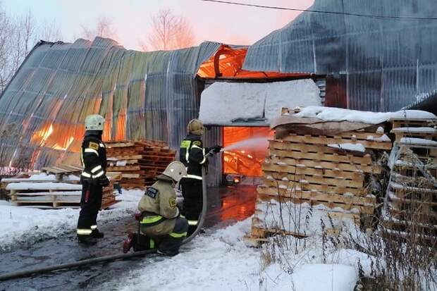 В горящем подмосковном ангаре находятся более 10 баллонов с газом