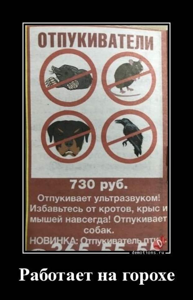 Свежие демотиваторы для настроения (15 шт)
