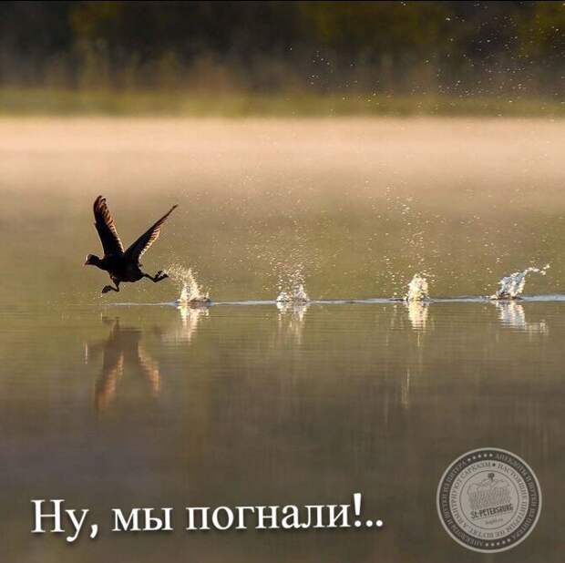Ну, мы погнали!