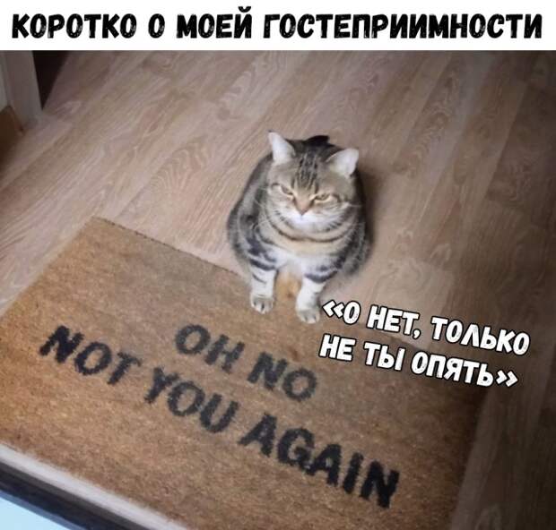 Подборка прикольных картинок (20 фото)