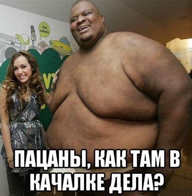 Веселые картинки с надписями Веселые картинки с надписями