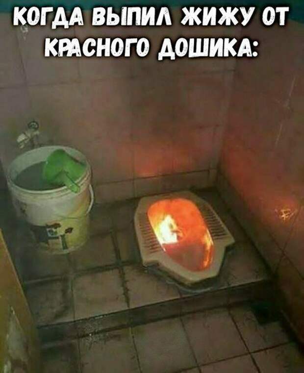 Картинки с надписями картинки, картинки с надписями, надписи, прикол, юмор