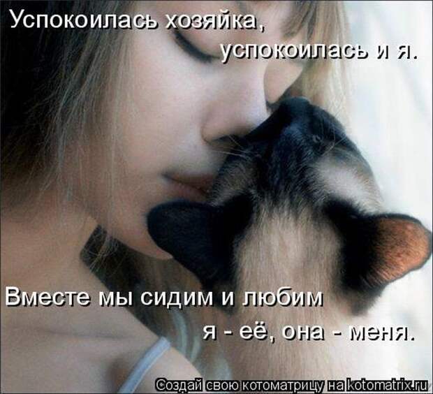 Лучшие котоматрицы недели (50 фото)