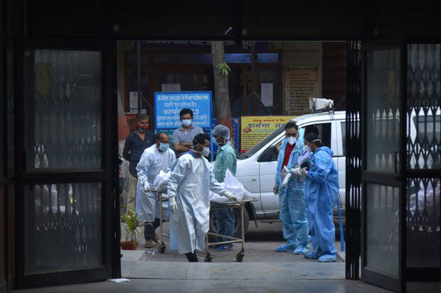 Роспотребнадзор: болезнь, вызываемая вирусом Нипах, может протекать бессимптомно