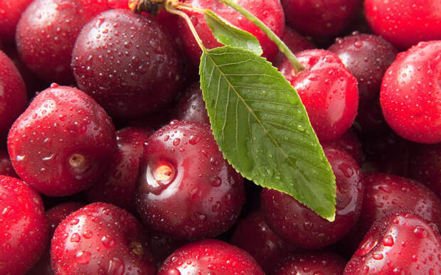 sweet-cherry-ciliege-macro