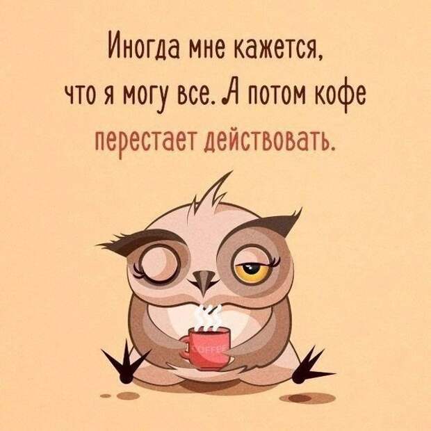Позитив на утро