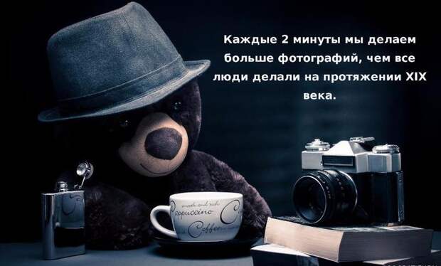 Увлекательные факты, о которых вы не догадывались!