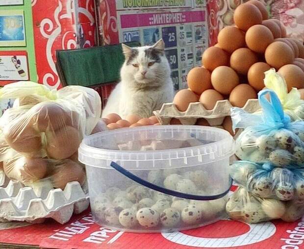 Что-то с реальностью не всё в порядке