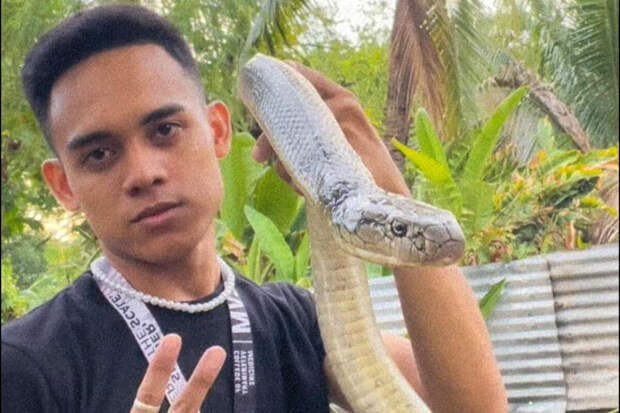 На Филиппинах спасатель змей Таблон не выжил после укуса рептилии