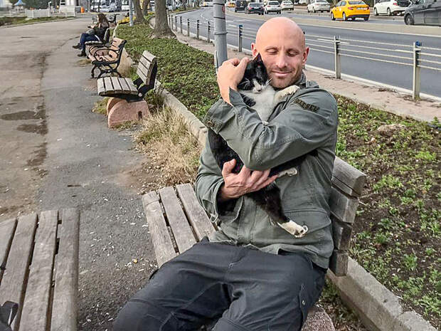 Я сфоткал двух обнимающихся бездомных кошек - клянусь, это не поставнока!