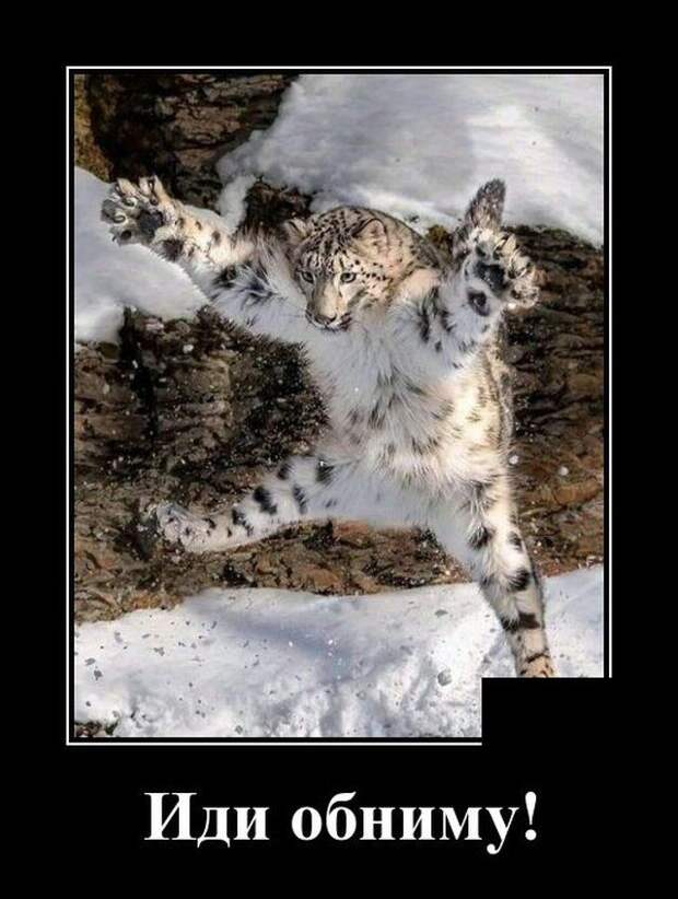demotivatory-demotivator-smeshnye-demotivatory-demotivator-so-smyslom