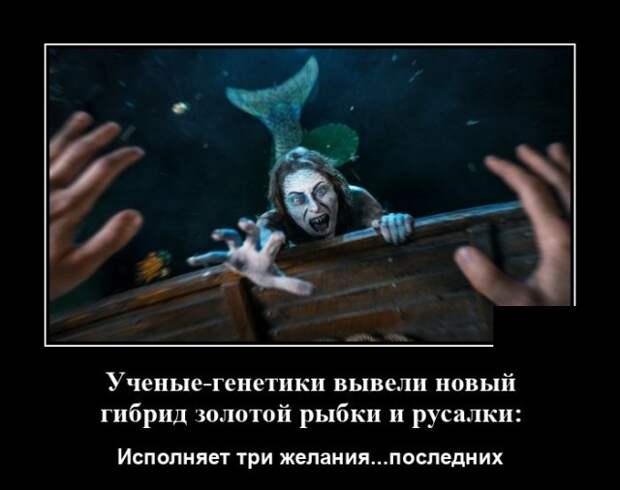 Демотиватор про русалку