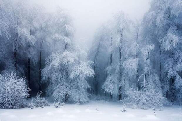 Восхитительные зимние пейзажи