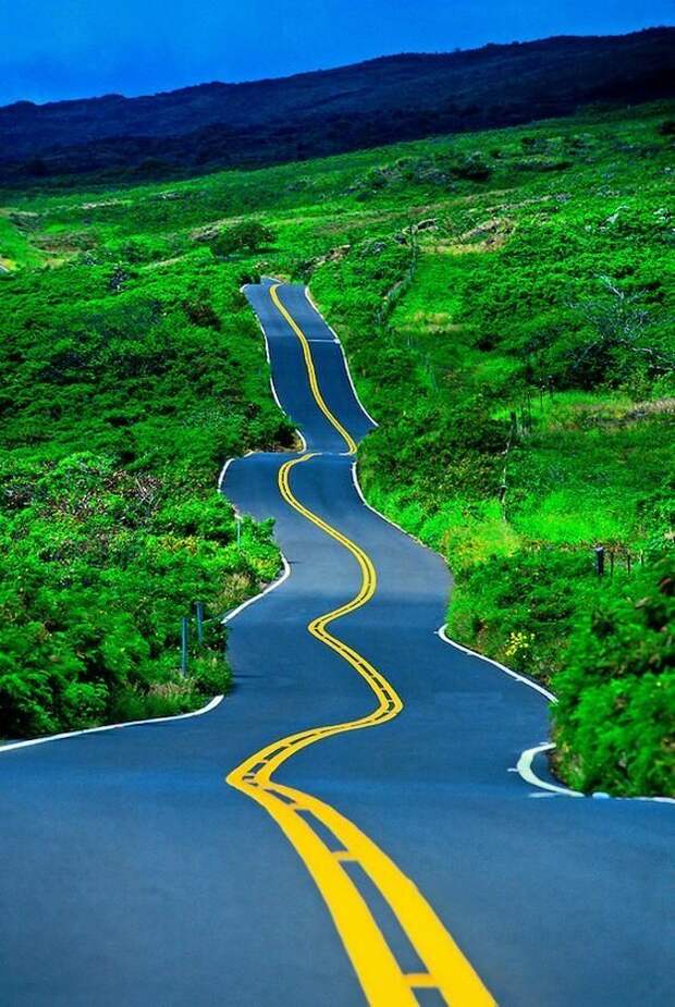 Дорога шоссейного типа как называется. Гавайи шоссе. Шоссейная дорога. Самые красивые дороги Гавайи. Шоссейные дороги.