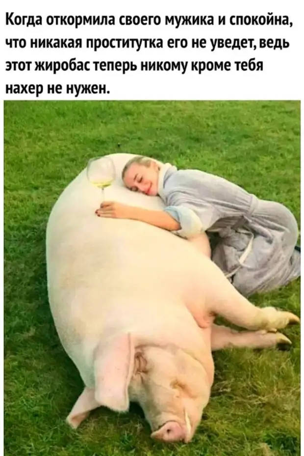 - Люсь, а Люсь - а че ты каждую ночь на полную громкость эротику по видикy смотришь?...