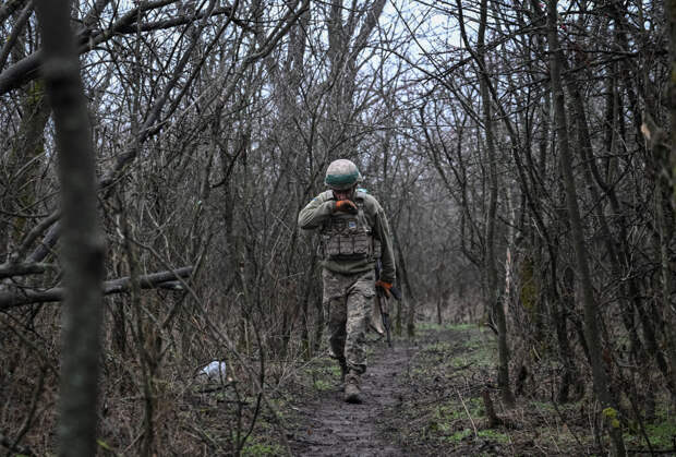 Полковник раскрыл численность ВСУ в зоне СВО