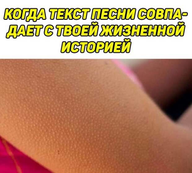 Весёлые
