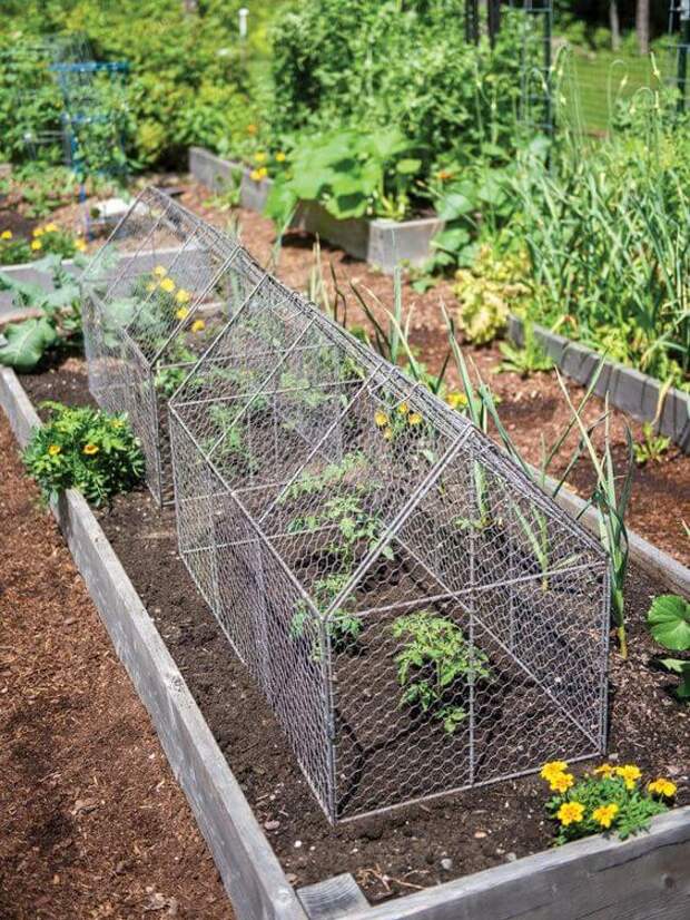 20 отличных идей для сада при использовании сетки рабицы