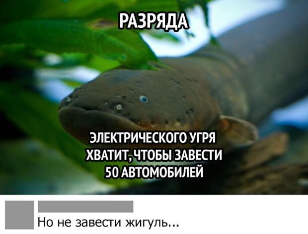 www.vsyako.net