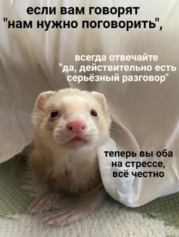 Мемы приколы смешные картинки (6)